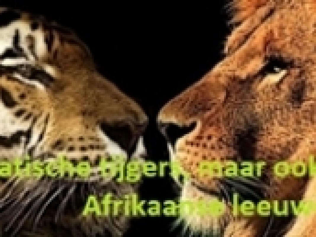 06-02-lion-and-tiger-tekst-groen_1390917663.jpg