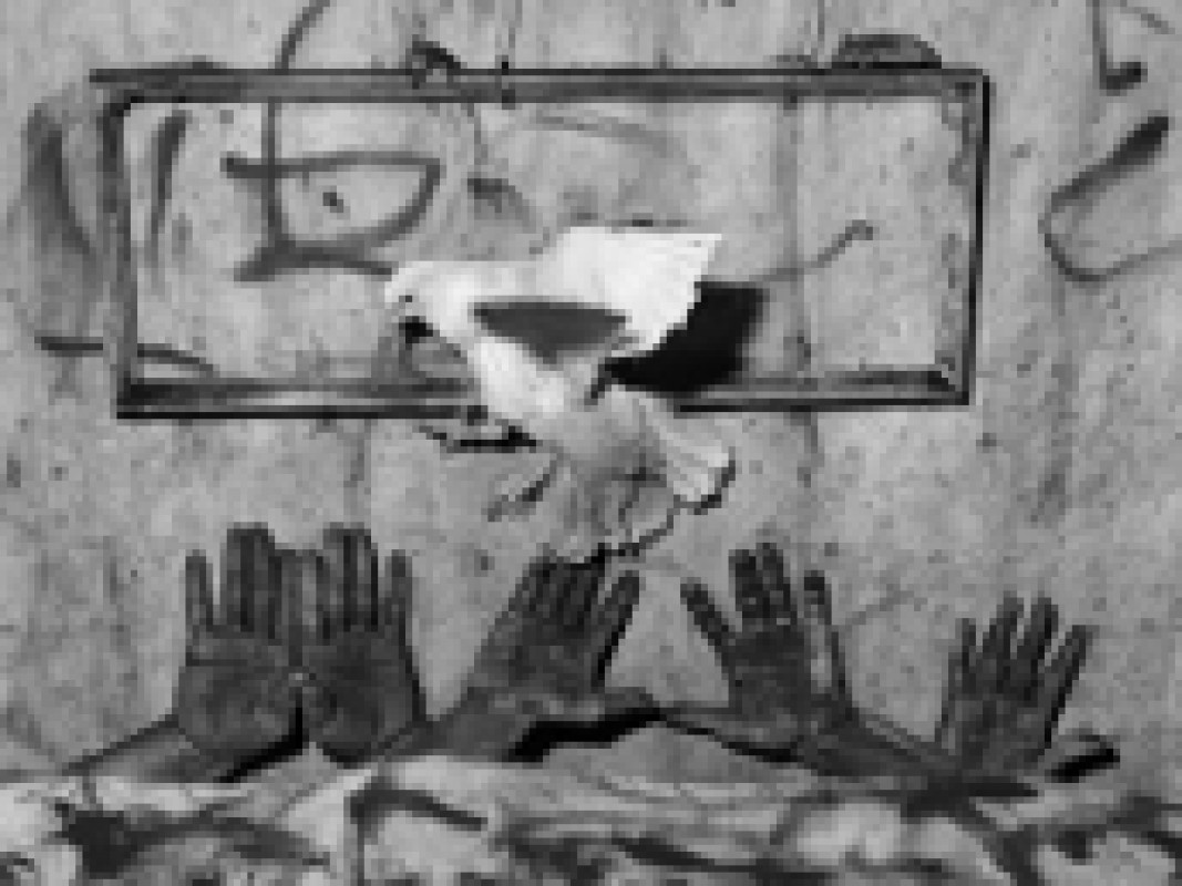 12-11-roger-ballen_1321365592.jpg