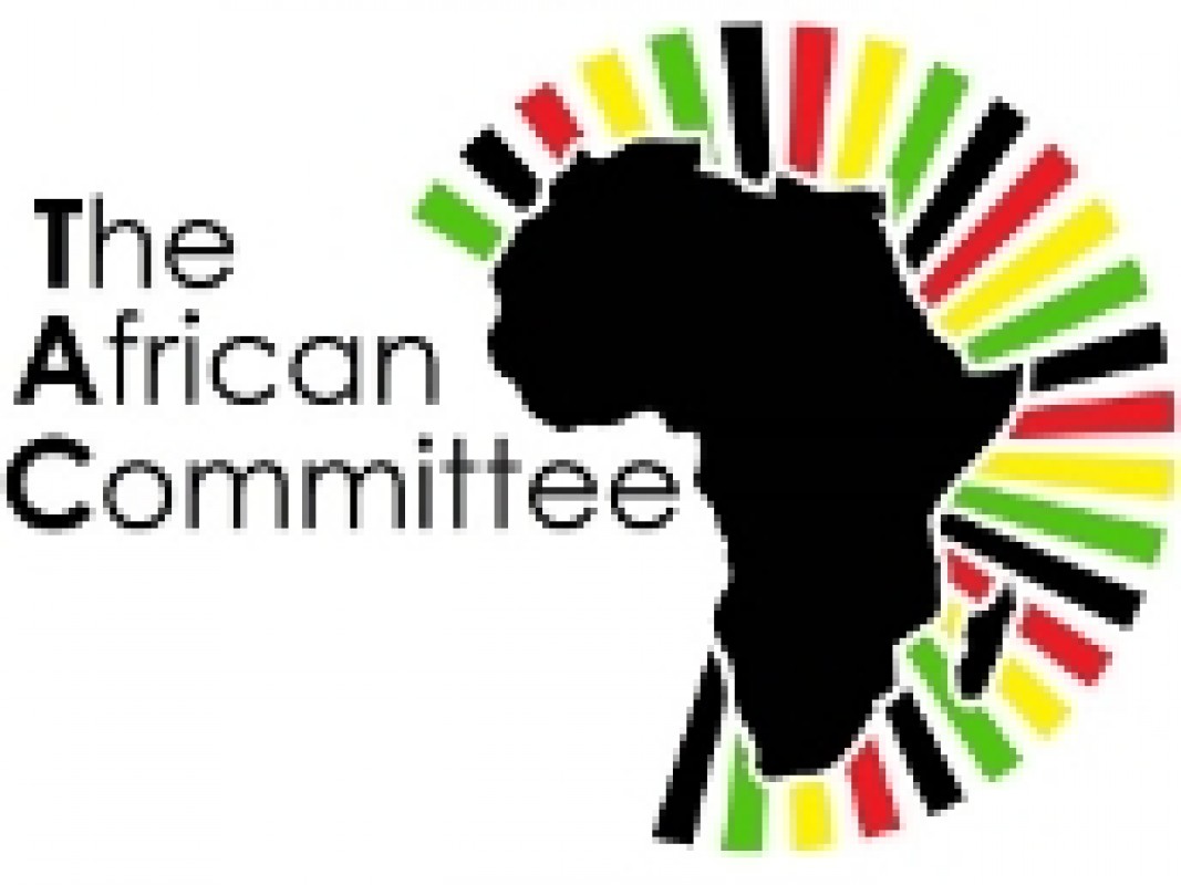 14-06-african_committee_03_1370957466.jpg