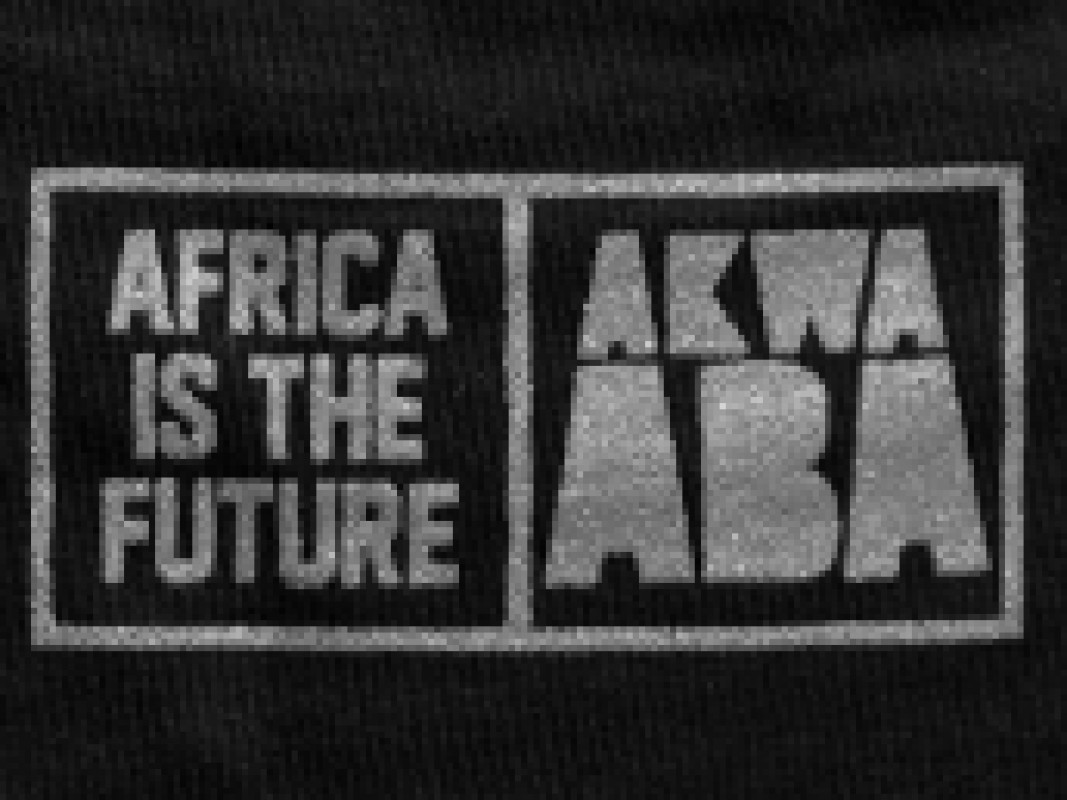 16-03-africa-is-the-future_1331637130.jpg