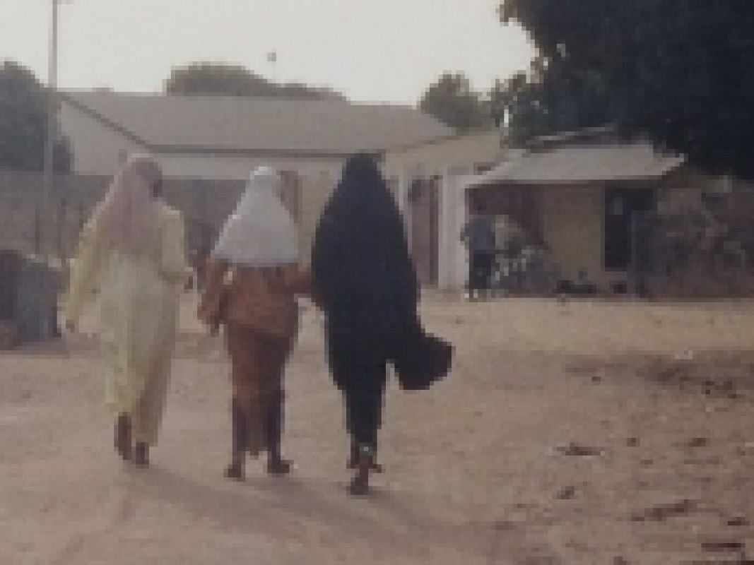 16-12-gambia-islam-asc_1386686102.jpg