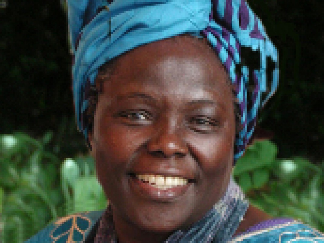 17-11-wangari-maathai_1320158913.jpg