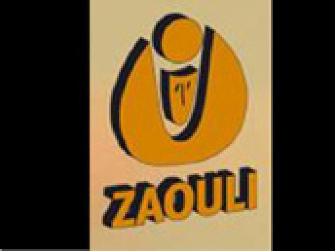 19-02-zaouli_1297434826.jpg