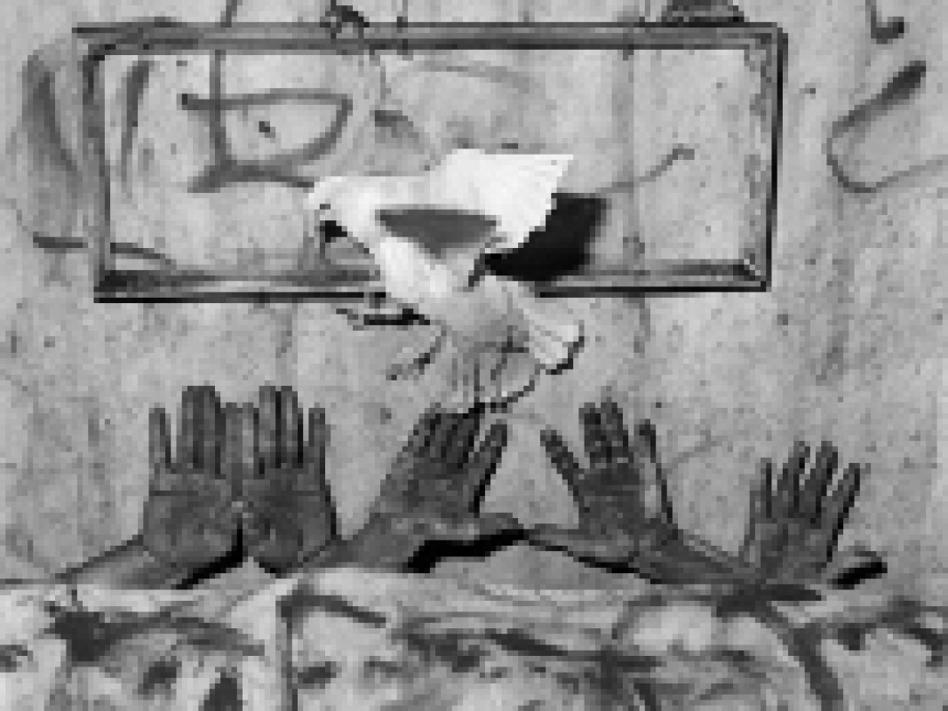 26-09-roger_ballen_1379597657.jpg