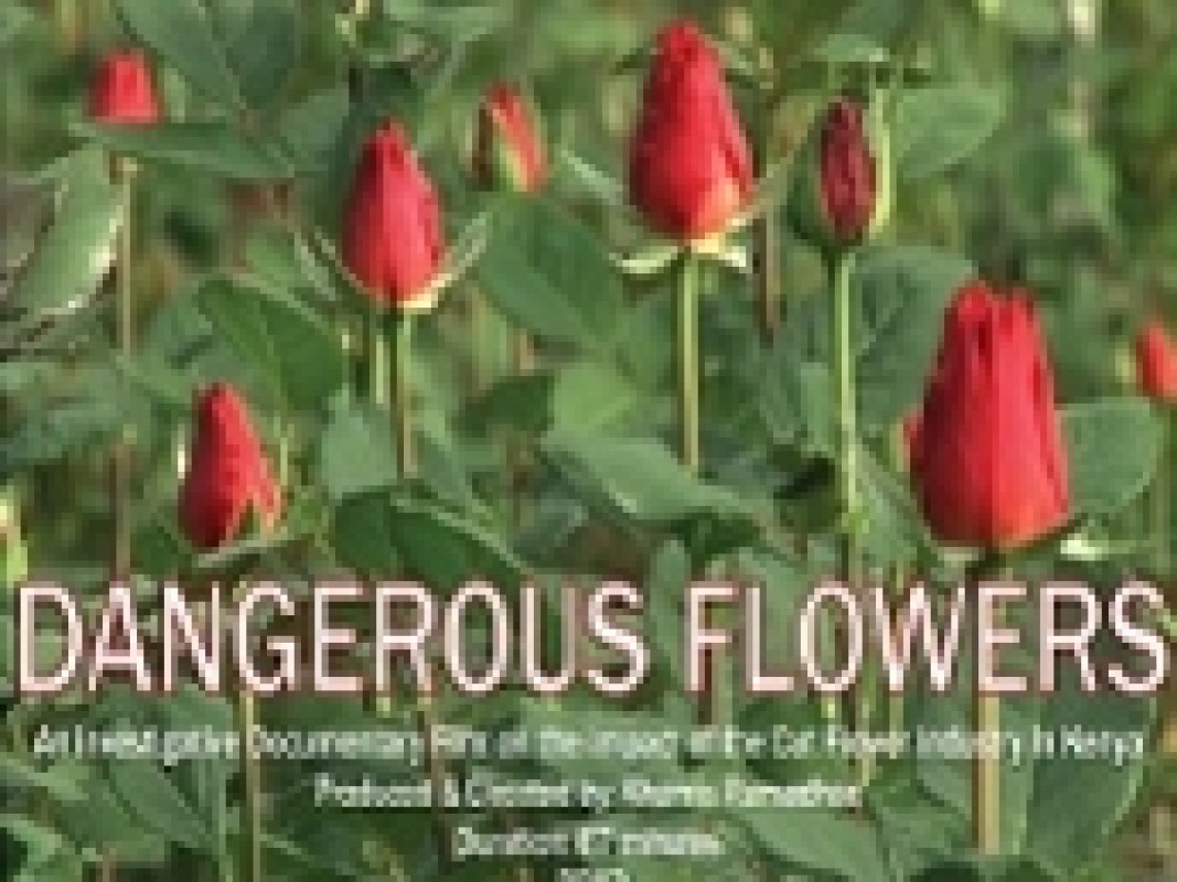 29-10-dangerous-flowers-asc_1379601496.jpg