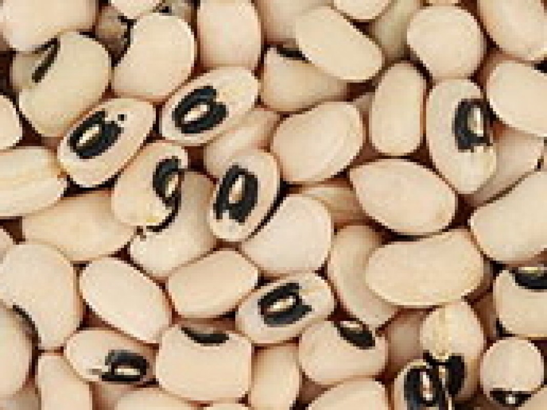 blackeyedpeas_1354628535.jpg