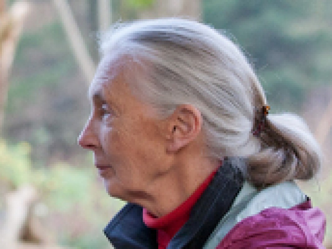 jane-goodall_1360680004.jpg